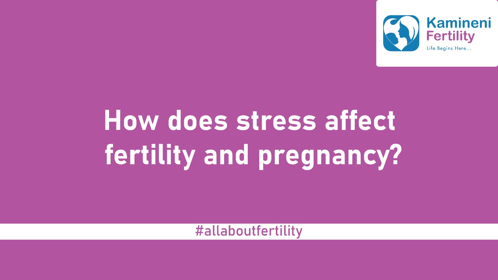 How does stress affect fertility & pregnancy
