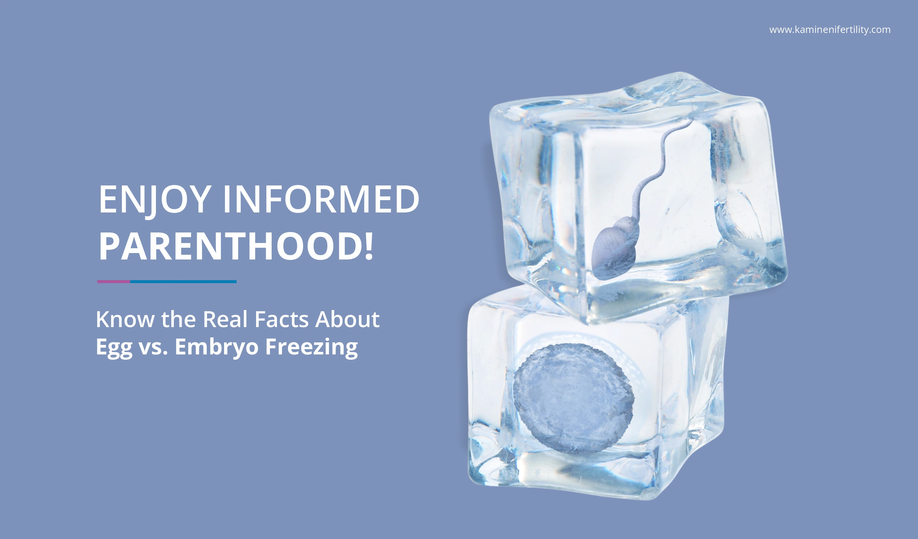 Egg vs Embryo Freezing