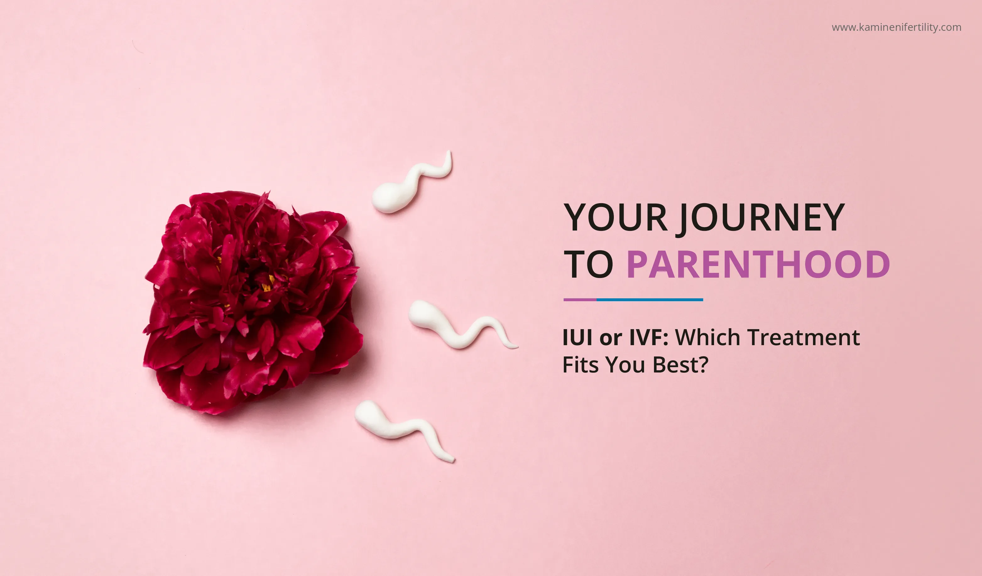 your-journey-to-parenthood