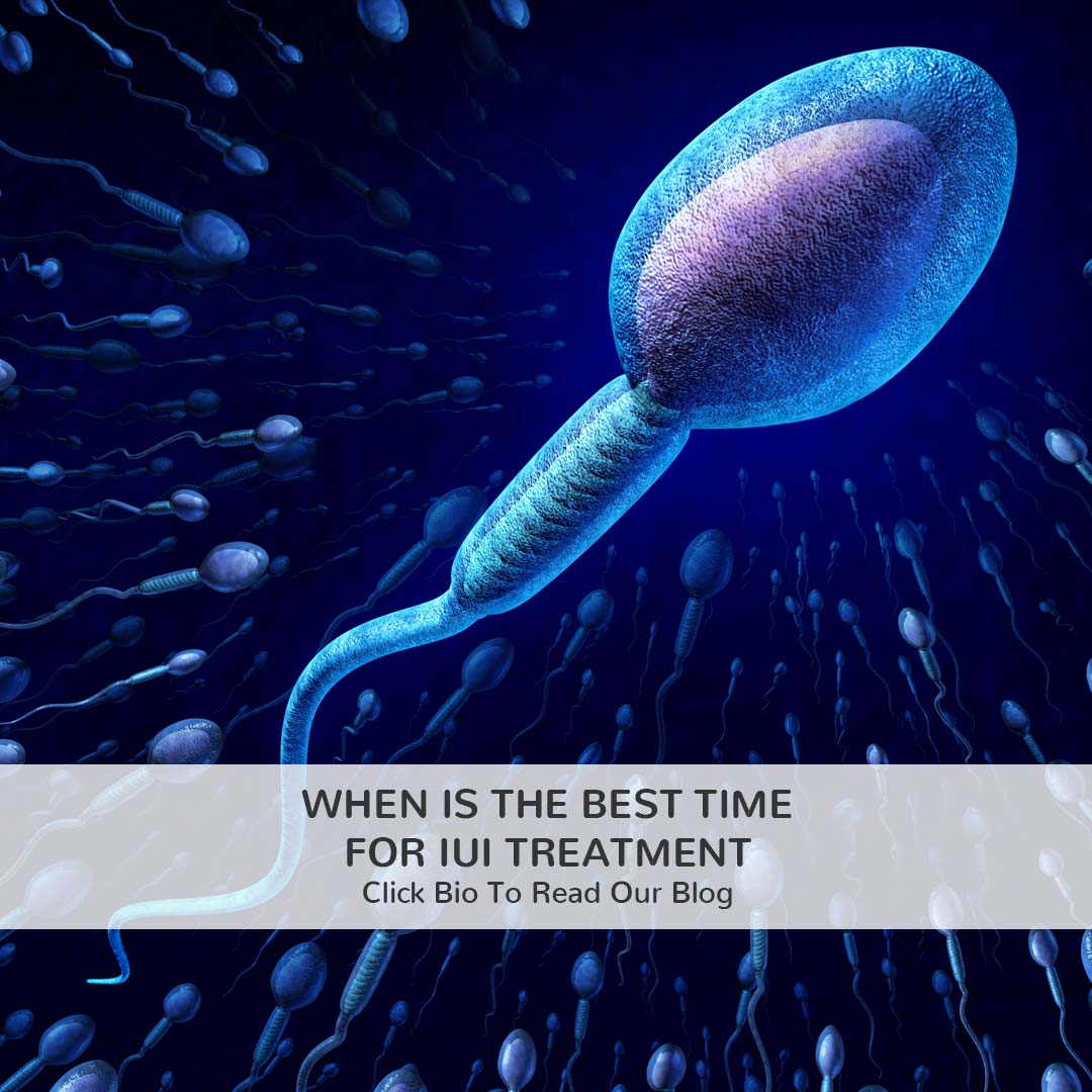 Male Fertility Doctor Near Me IUI Treatment Cost In Hyderabad male-fertility-doctor-near-me-iui-treatment-cost-in-hyderabad