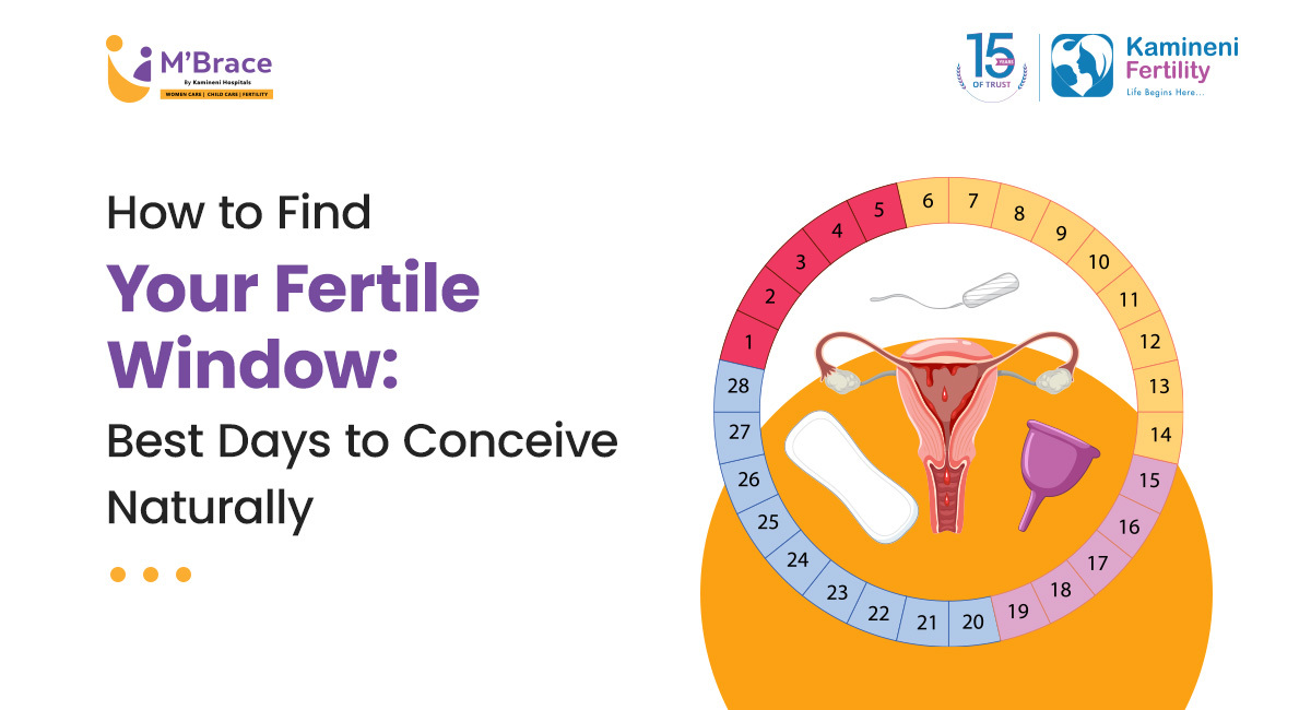 How to Find Your Fertile Window