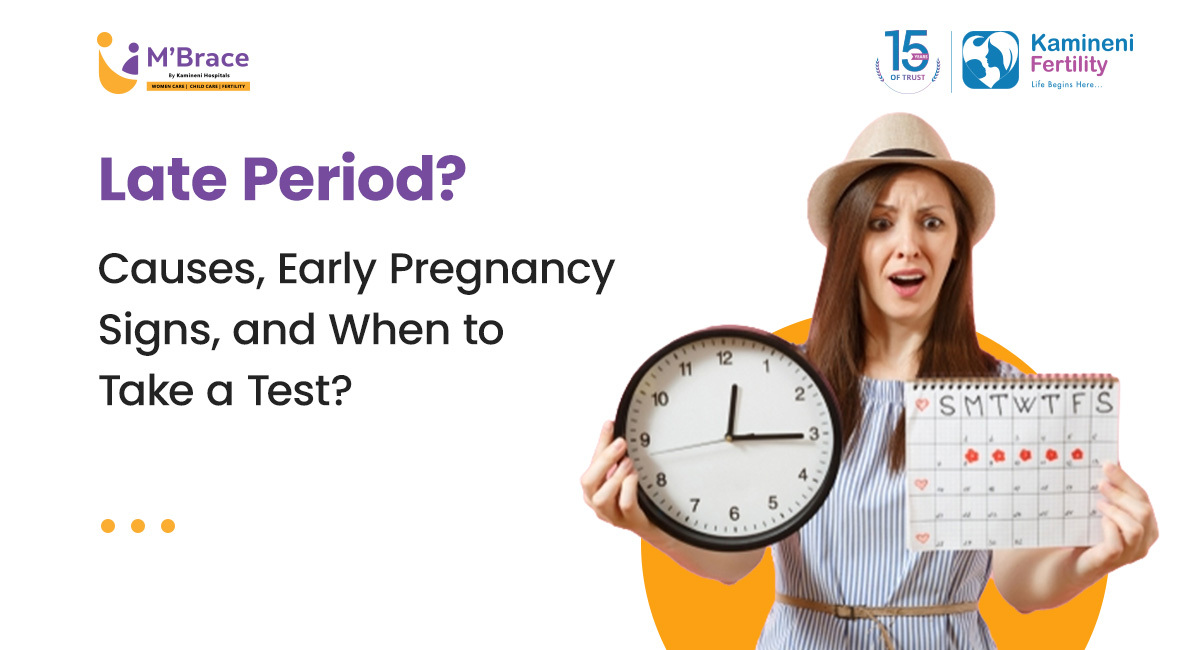 3 Key Factors IUI Success Rate